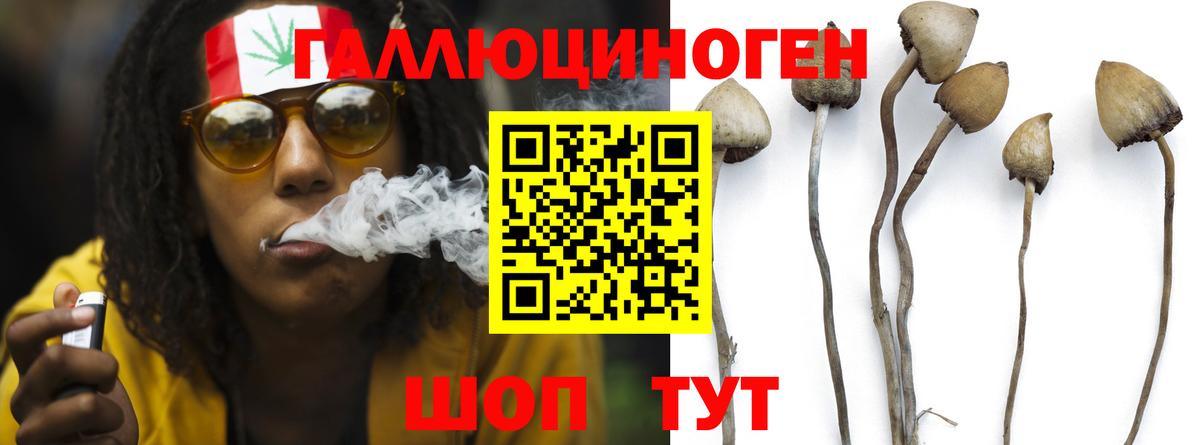 Псилоцибиновые грибы ЛСД  Вход с VPN  Горно-Алтайск 